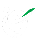 icc-u19-cricket-world-cup-2026